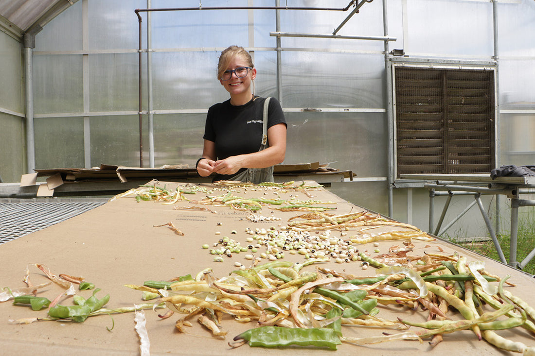 Garden to Cafeteria | Making STEM Tasty at the Success Academy