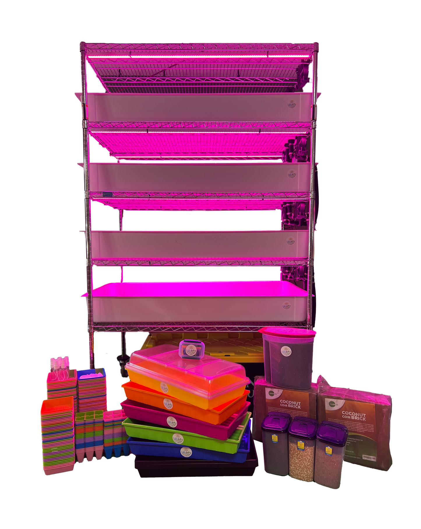 School Hydroponics System Grow Rack - STEM Education