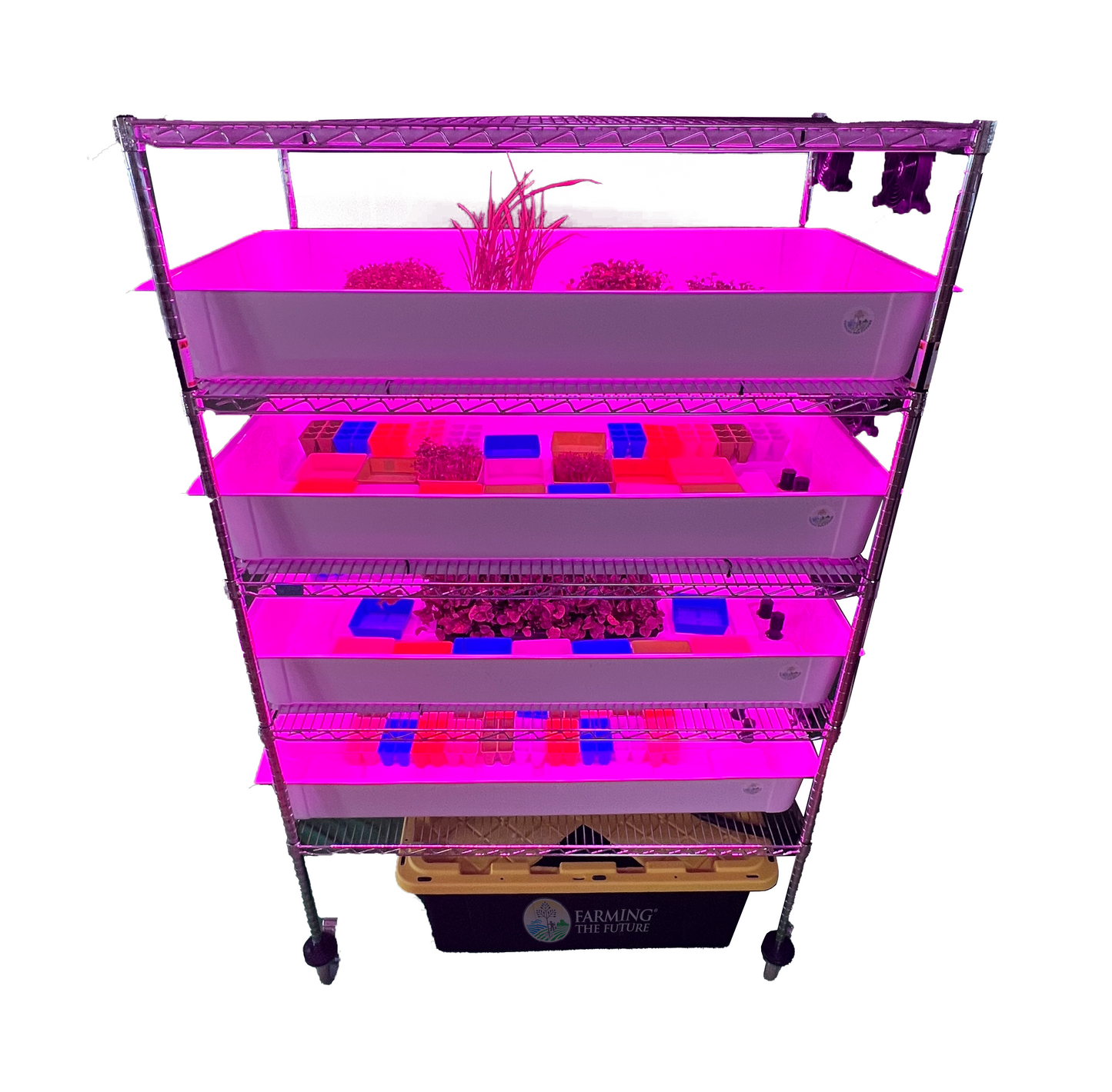 School Hydroponics Grow Rack - STEM Education