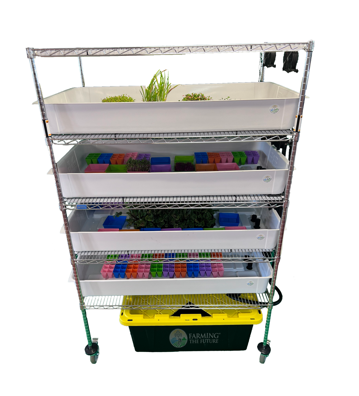 School Hydroponics System Grow Rack - STEM Education