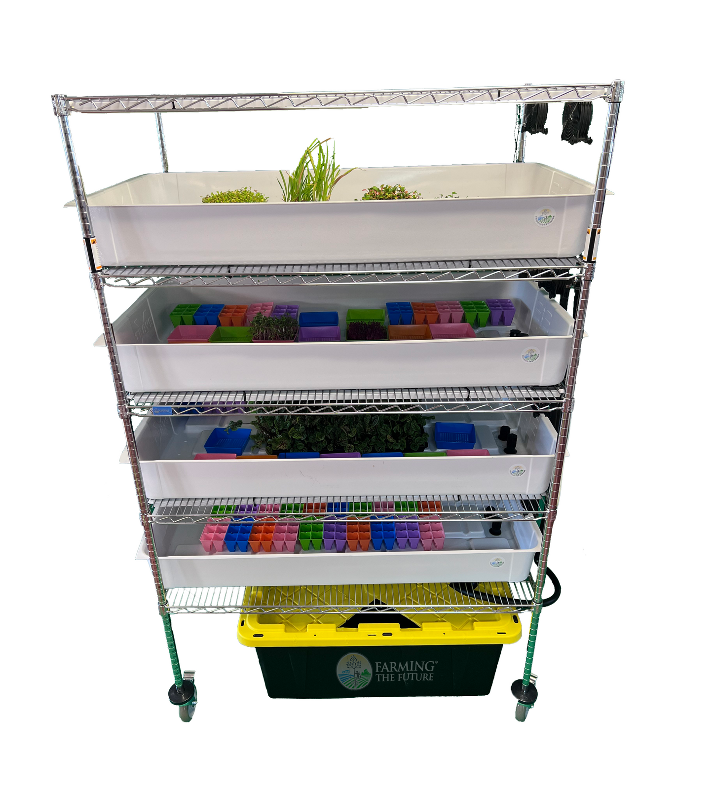 School Hydroponics Grow Rack - STEM Education