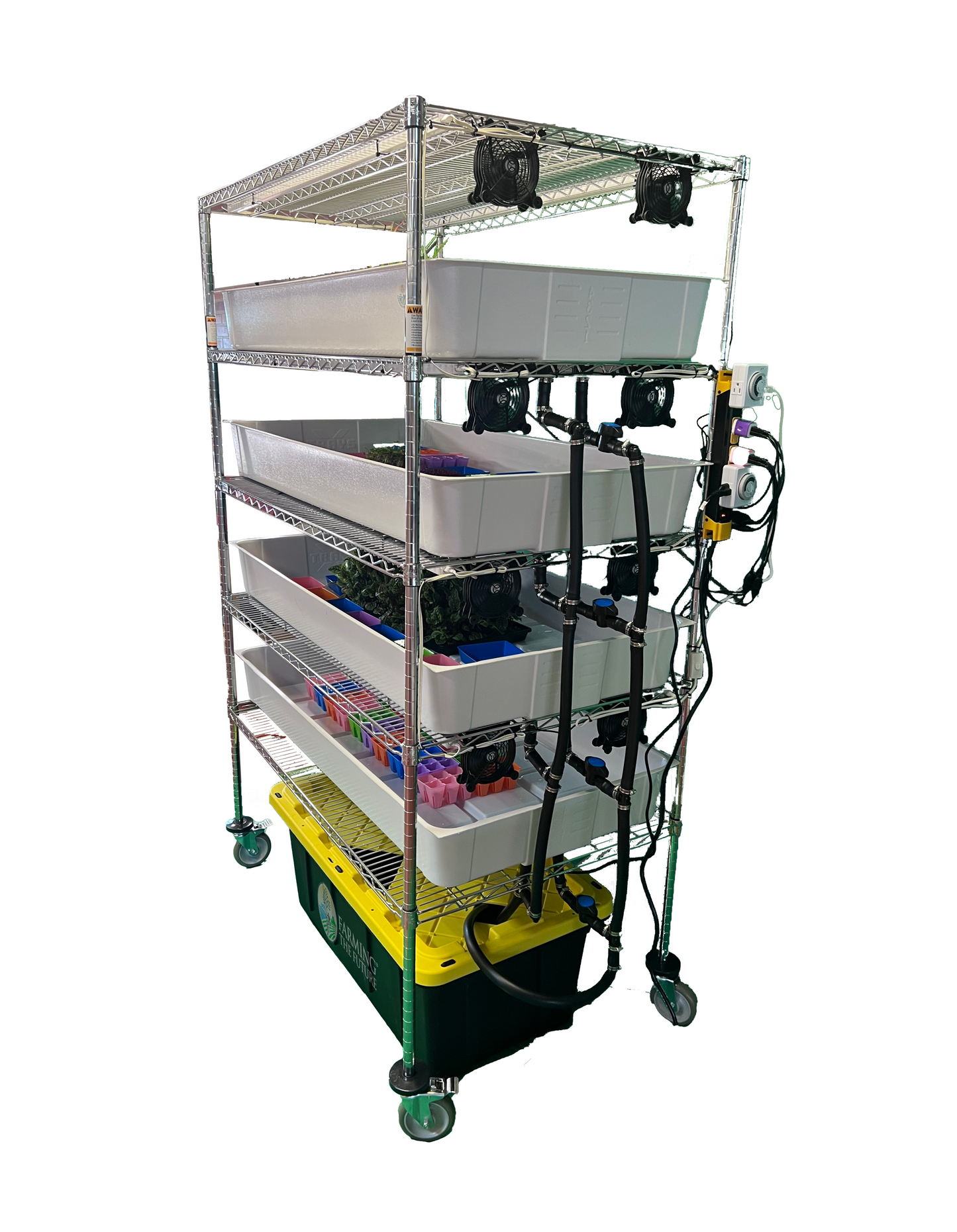 School Hydroponics System Grow Rack - STEM Education
