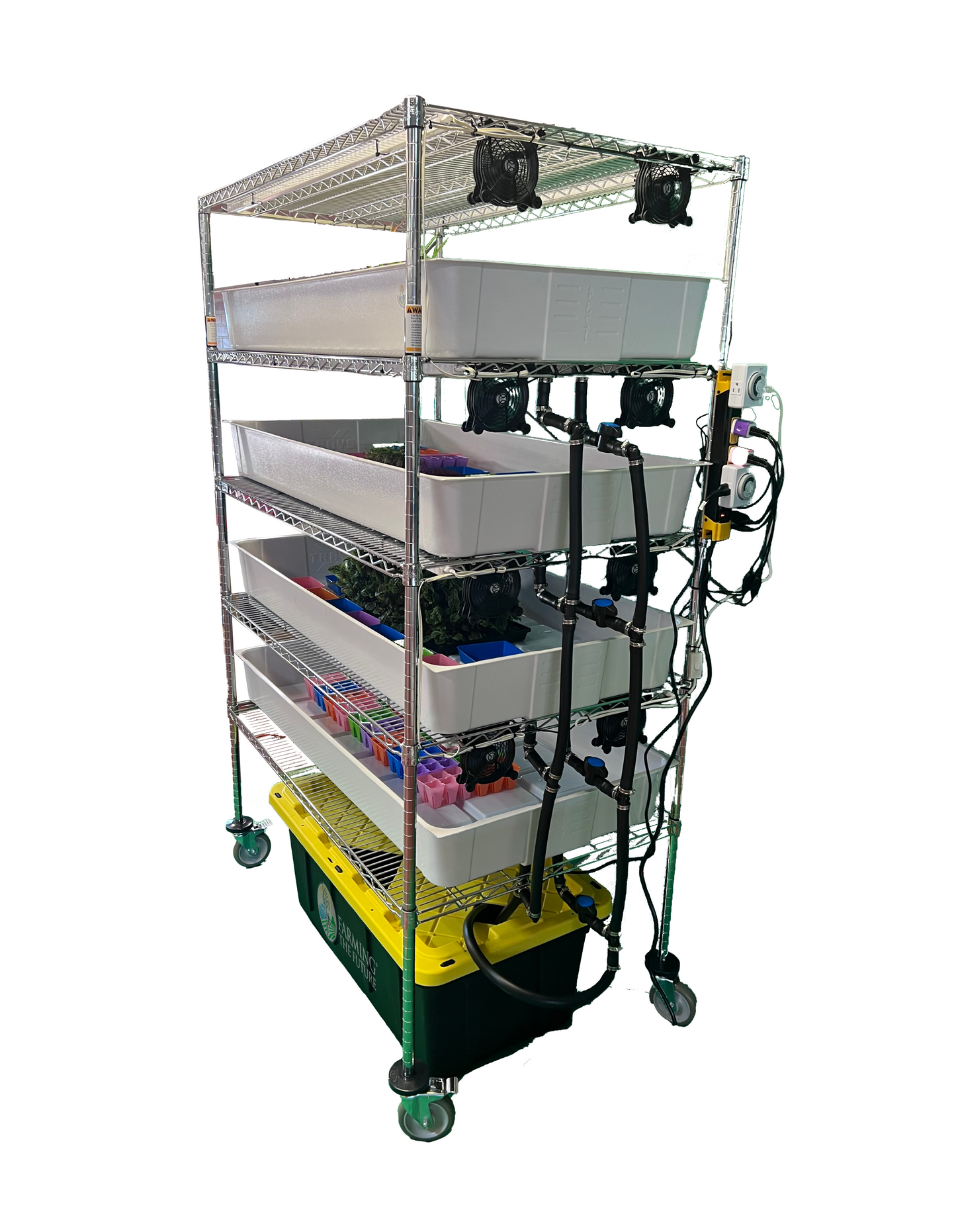 School Hydroponics Grow Rack - STEM Education