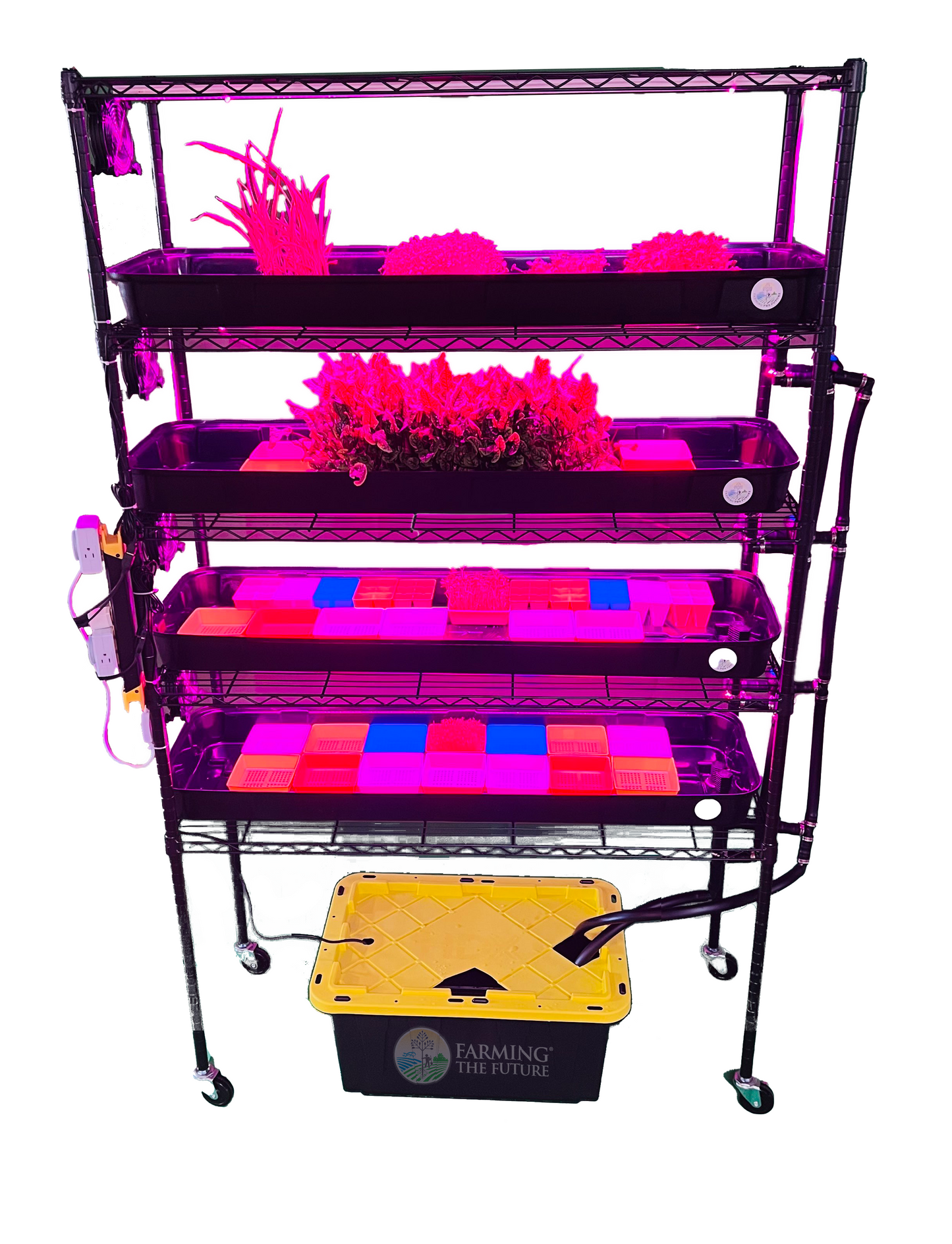 Classroom Hydroponics System - STEM Grow Rack