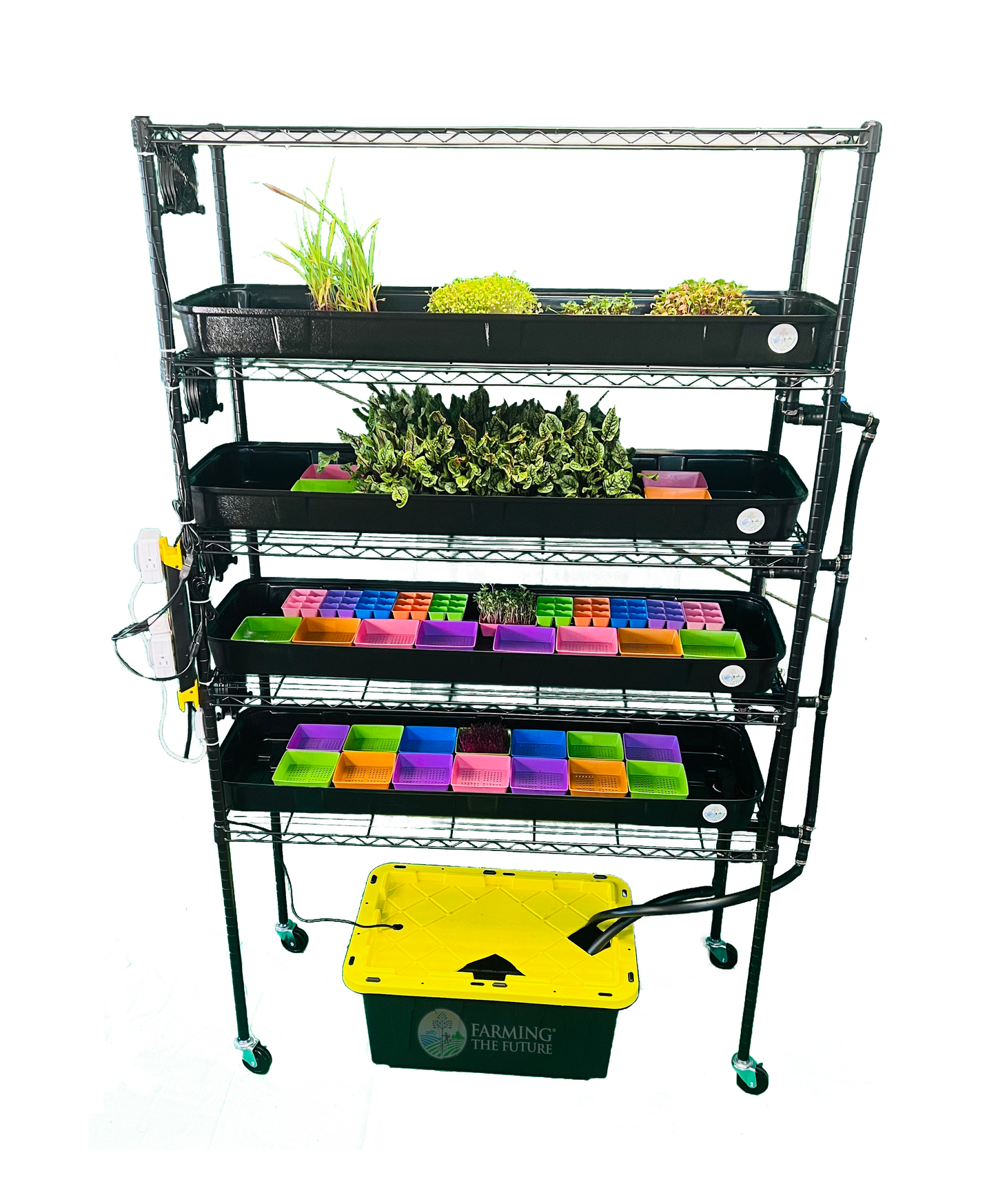 Classroom Hydroponics System - STEM Grow Rack