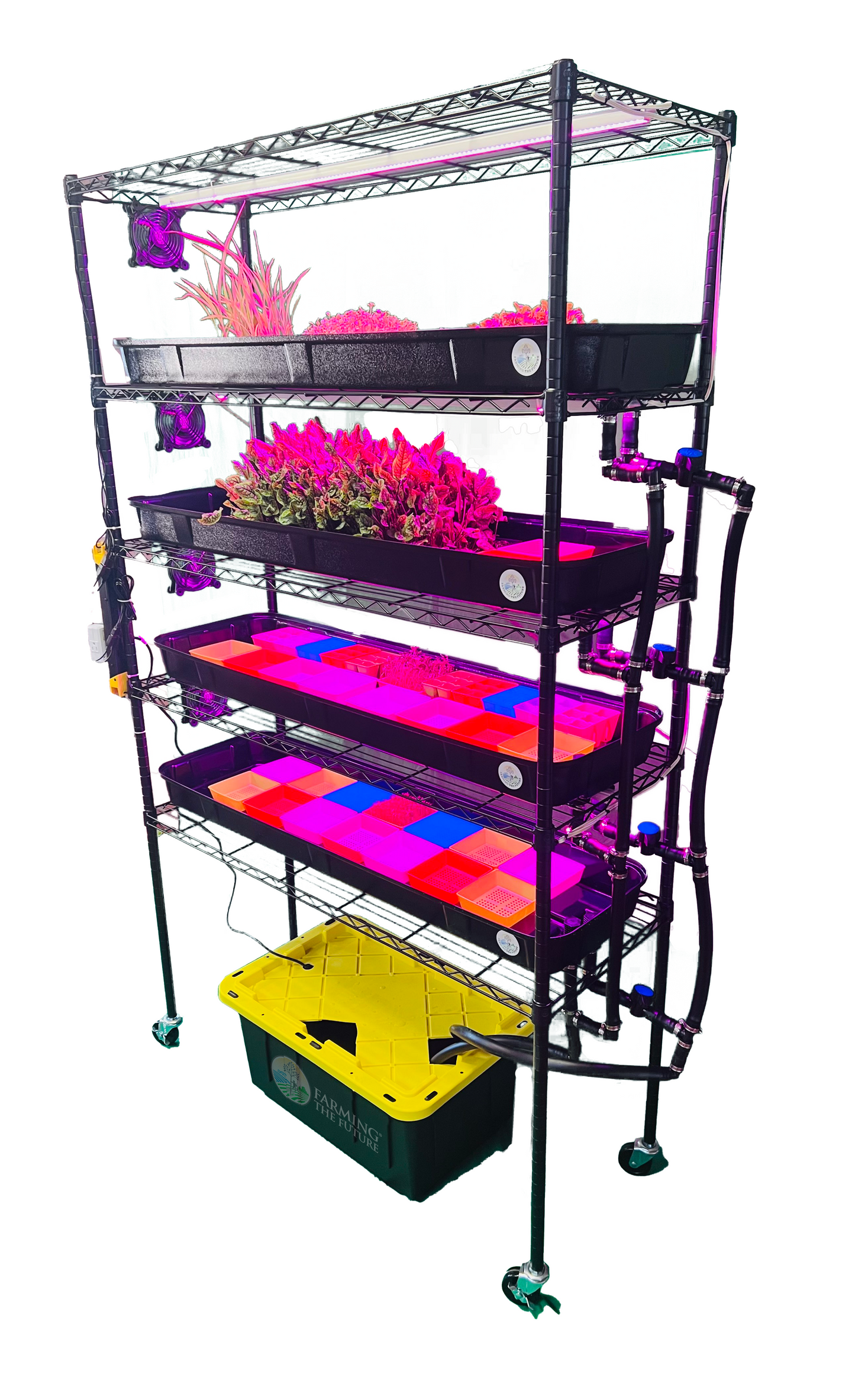 Classroom Hydroponics System - STEM Grow Rack