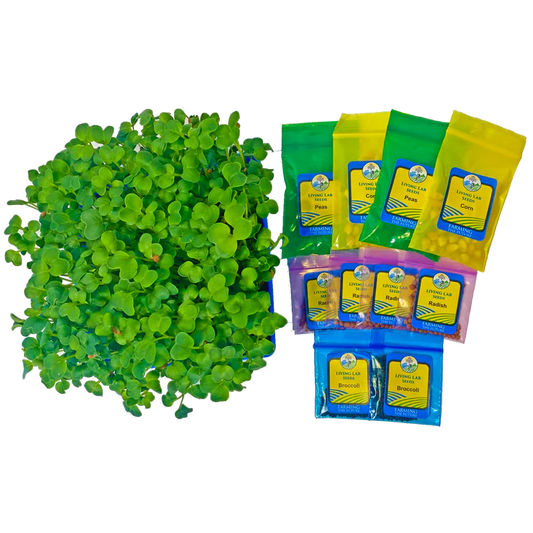 6-8 Tabletop Living Lab REPLENISH Kit w/ Curriculum Subscription