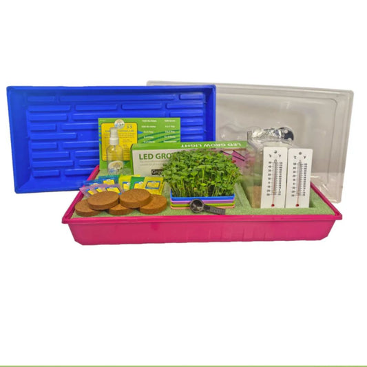 3-5 Table Top Living Lab w/ Curriculum Subscription - Grow Kit STEM Kit