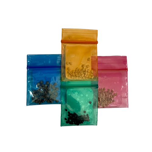 Living Lab Seeds: Salsa Garden Seed Pack — Jalapeño, Cherry Tomato, Cilantro & Chives