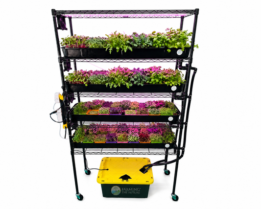 ftfeducation.com farming the future
