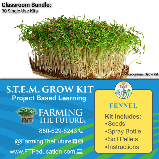 K-12 STEM Student Fennel Microgreen Kit - Classroom Bundle