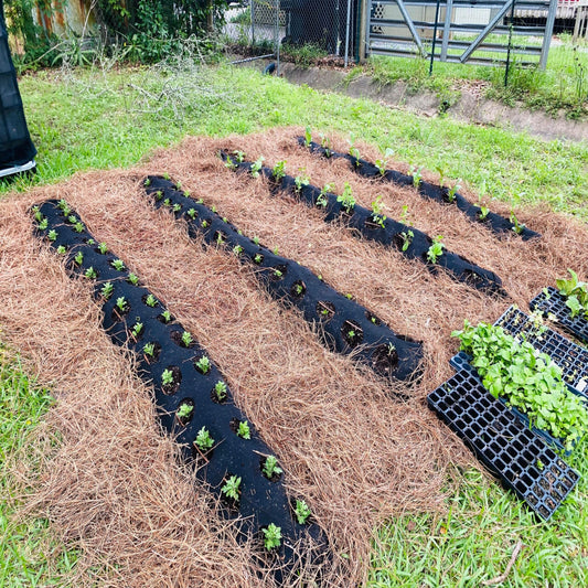 Full Year School Garden Science Program