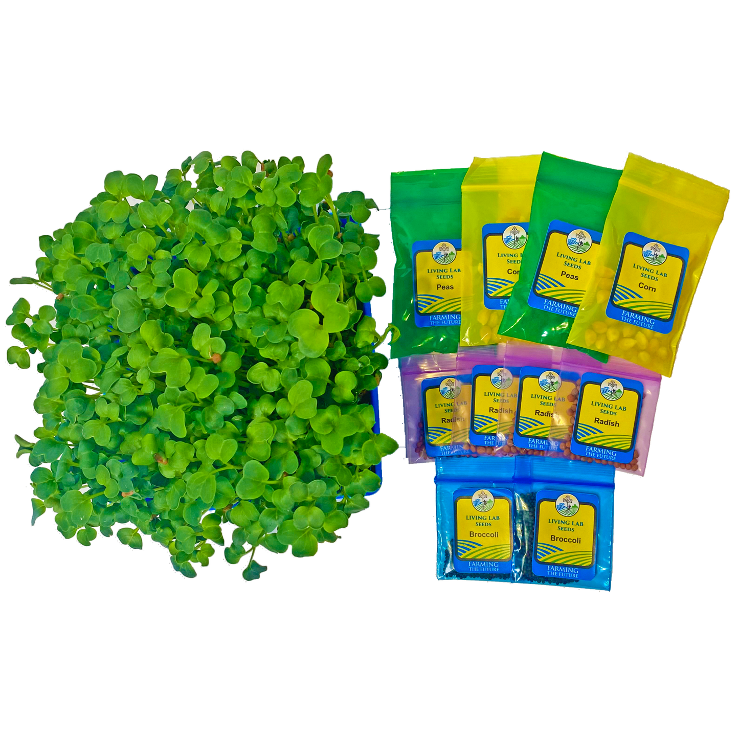 3-5 Tabletop Living Lab REPLENISH Kit w/ Curriculum Subscription