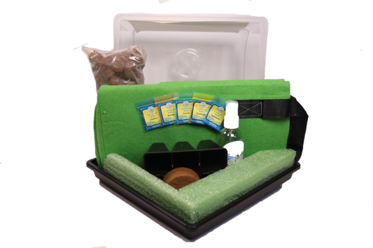 GrowBag Garden Lab - Pollinator