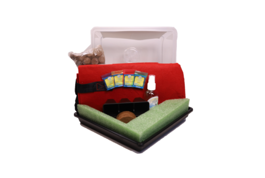 GrowBag Garden Lab - Salsa