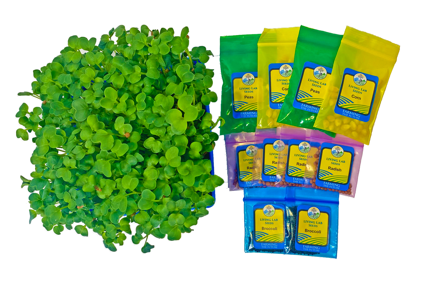 K-2 Tabletop Living Lab REPLENISH Kit w/ Curriculum Subscription