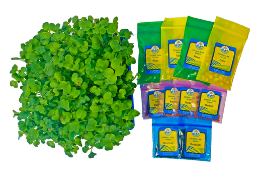 K-2 Tabletop Living Lab REPLENISH Kit w/ Curriculum Subscription