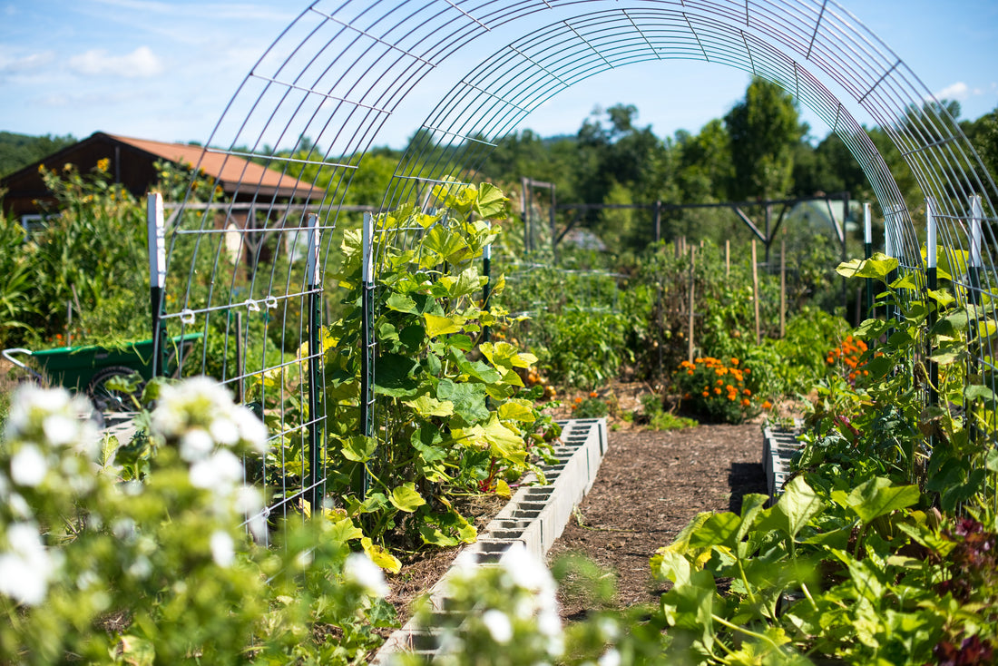 9 Tips for Connecting a School Garden with Instruction