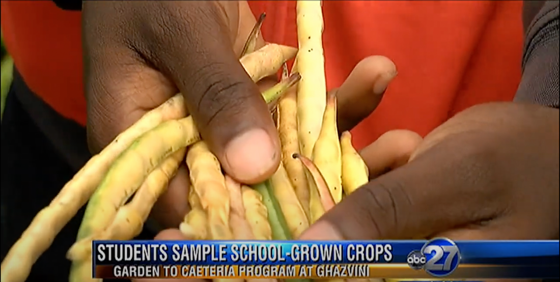 Tallahassee Students Finally Taste Harvest from School Garden