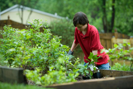 Tips for Creating a Gardening Club