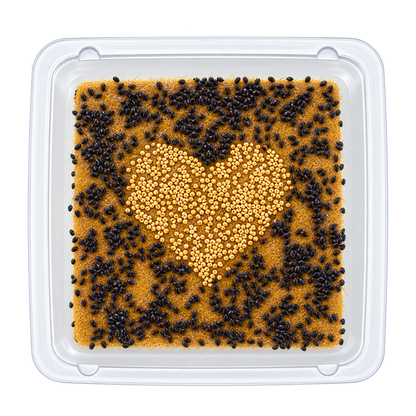 GrowArt™ Grow-Your-Own Art Kit: COMPACT