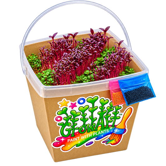 GrowArt™ Grow-Your-Own Art Kit: Edible Microgreens Kit DELUXE Classroom Bundle (24)