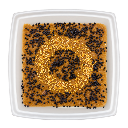 GrowArt classroom seed art kit with colorful microgreens, planting supplies, and paint-your-own container for hands-on K-12 STEM and art learning.