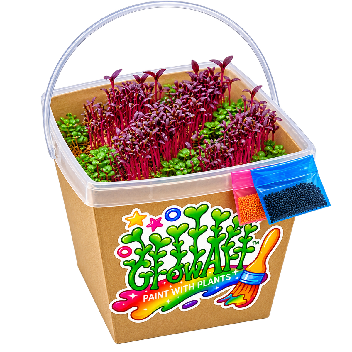 GrowArt classroom seed art kit with colorful microgreens, planting supplies, and paint-your-own container for hands-on K-12 STEM and art learning.
