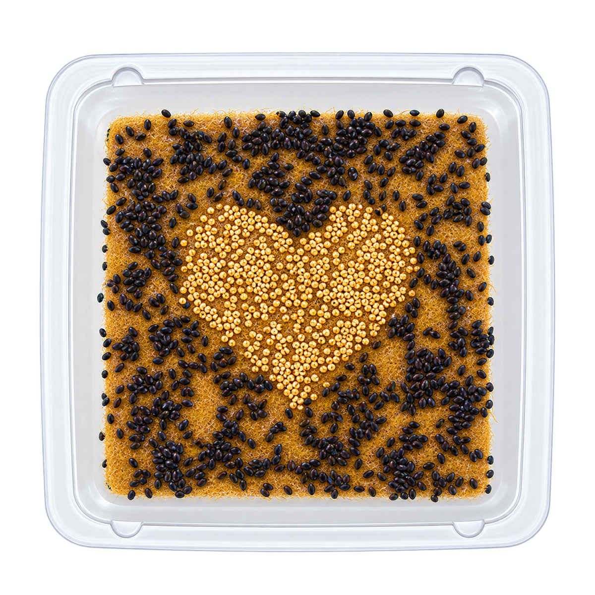 A square clear plastic container filled with a textured golden-brown mixture topped with a heart-shaped arrangement of small beige seeds, surrounded by scattered black seeds, on a white background.