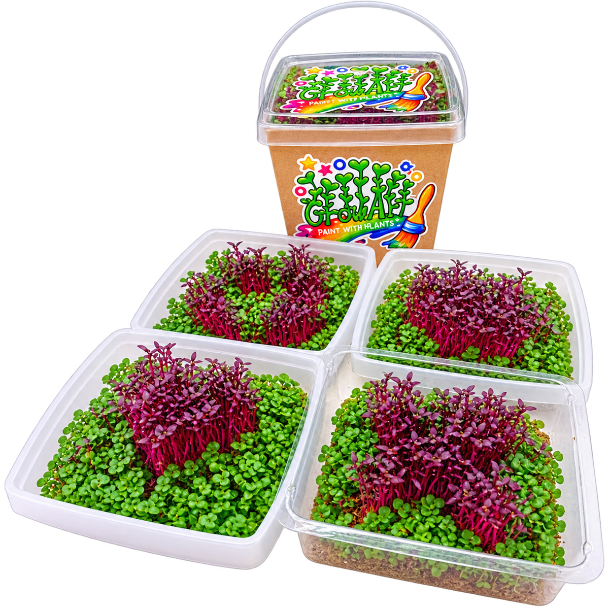 GrowArt classroom seed art kit with colorful microgreens, planting supplies, and paint-your-own container for hands-on K-12 STEM and art learning.