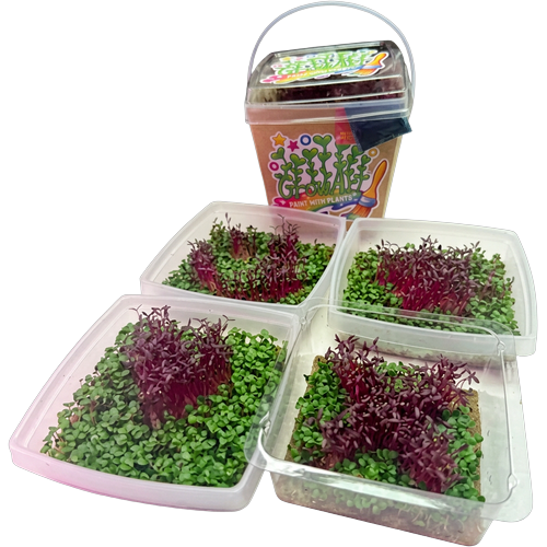 GrowArt™ Grow-Your-Own Seed Art Kit — Edible Microgreens Craft for Kids