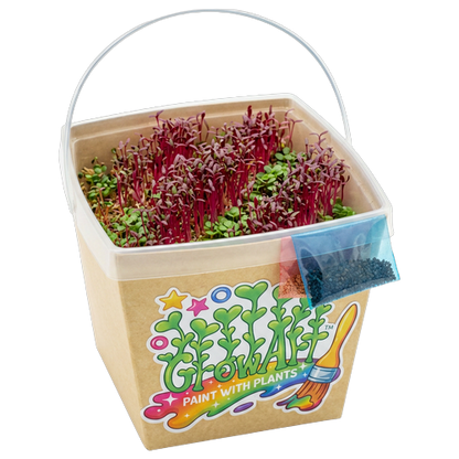 GrowArt™ Grow-Your-Own Art Kit: Edible Microgreens Kit DELUXE Classroom Bundle (24)