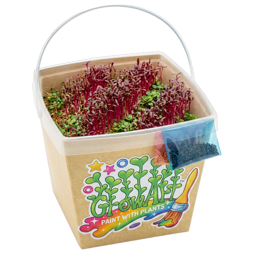 GrowArt™ Grow-Your-Own Art Kit: Edible Microgreens Kit DELUXE Classroom Bundle (24)