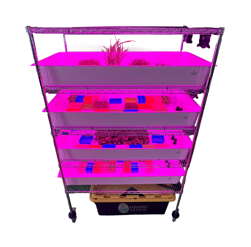 School Hydroponics Grow Rack for Grades 5-12 — Automated STEM Lab ...