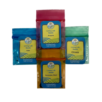 Living Lab Seeds Pesto Garden pack with kale, arugula, chives, and Genovese basil seed packets
