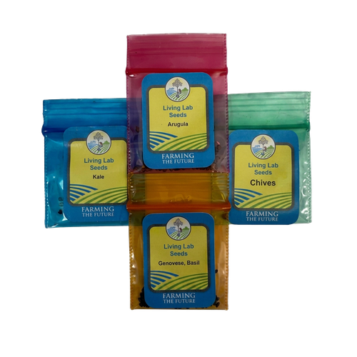 Living Lab Seeds Pesto Garden pack with kale, arugula, chives, and Genovese basil seed packets