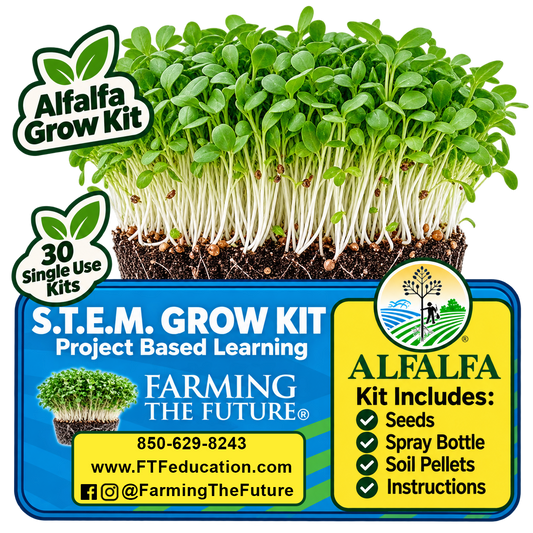 Alfalfa Grow Kit educational project-based learning kit by Farming The Future, featuring a live alfalfa sprout plant on a white background with a blue and yellow product information label below it.