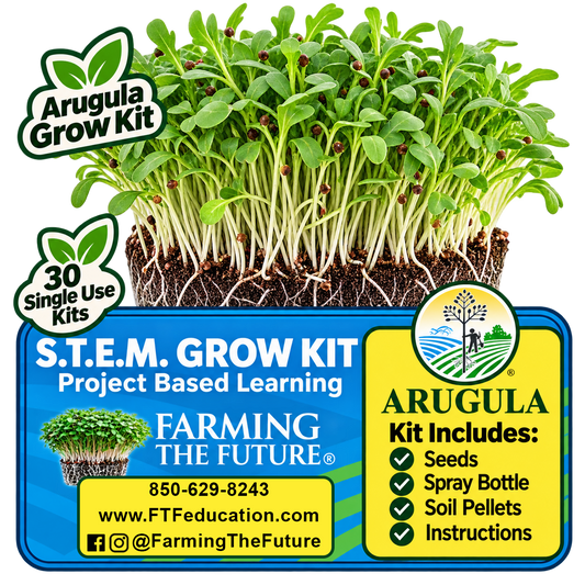 Arugula Grow Kit educational project-based learning kit by Farming The Future, featuring live arugula sprouts, seeds, soil pellets, a spray bottle, and instructions on a blue and yellow graphic background.