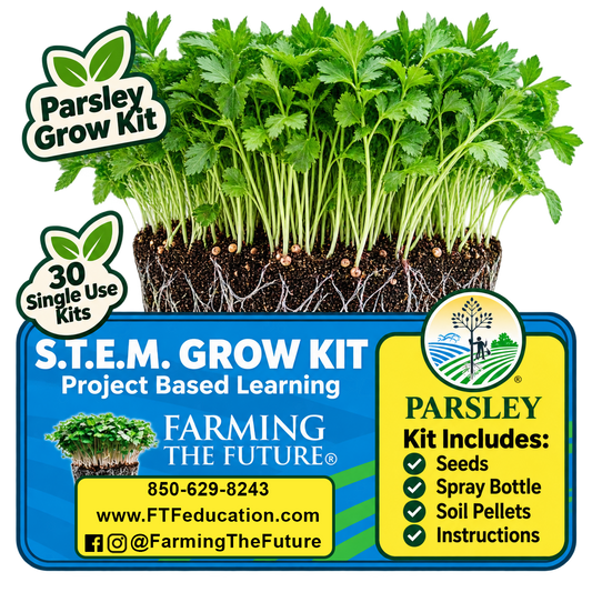 Parsley STEM grow kit for K-12 classrooms with 30 student gardening kits for hands-on, project-based learning by Farming the Future.