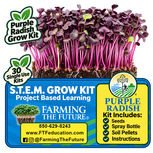 Purple Radish STEM grow kit for K-12 classrooms with 30 student gardening kits for hands-on, project-based learning by Farming the Future.