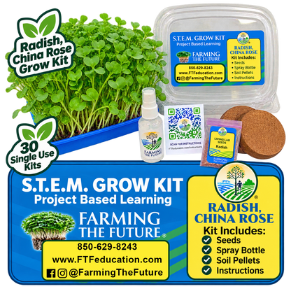 China Rose Radish STEM grow kit for K-12 classrooms with 30 student gardening kits for hands-on, project-based learning by Farming the Future.
