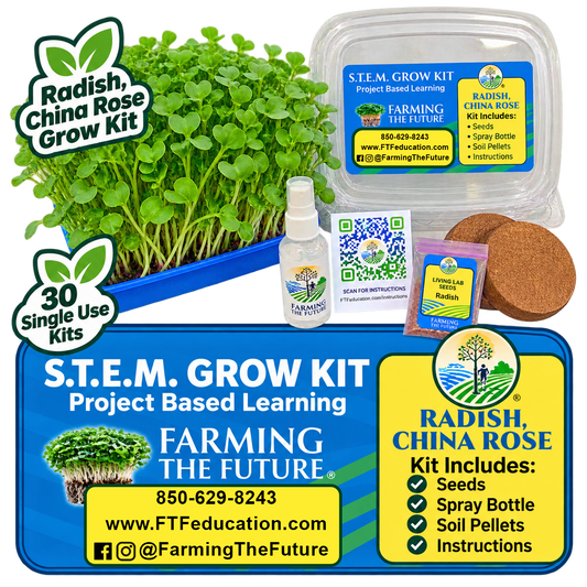 China Rose Radish STEM grow kit for K-12 classrooms with 30 student gardening kits for hands-on, project-based learning by Farming the Future.