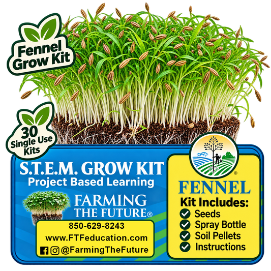 Fennel grow kit promotional graphic showing a cluster of green fennel sprouts with visible roots and seed pods above a blue and yellow product panel listing included items and branding.