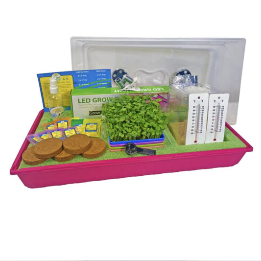6-8 Table Top Living Lab w/ Curriculum Subscription