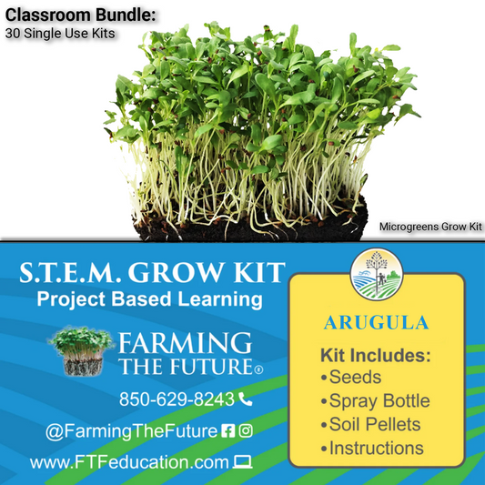 K-12 STEM Student Arugula Microgreen Kit - Classroom Bundle
