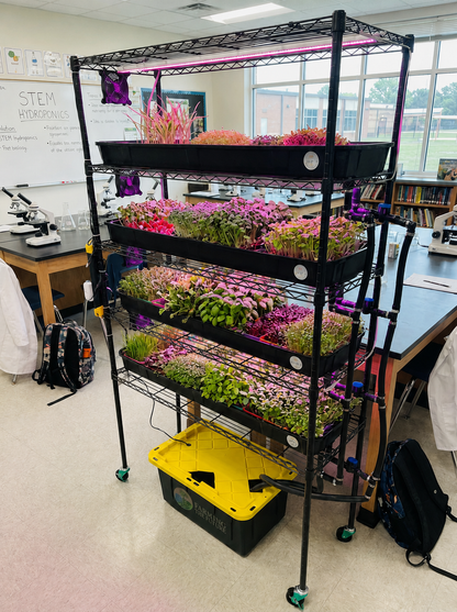 Classroom Hydroponics System - STEM Grow Rack