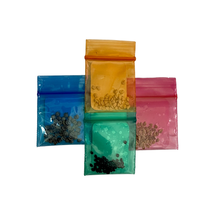 Pesto Garden Seed Pack — Kale, Arugula, Chives & Genovese Basil