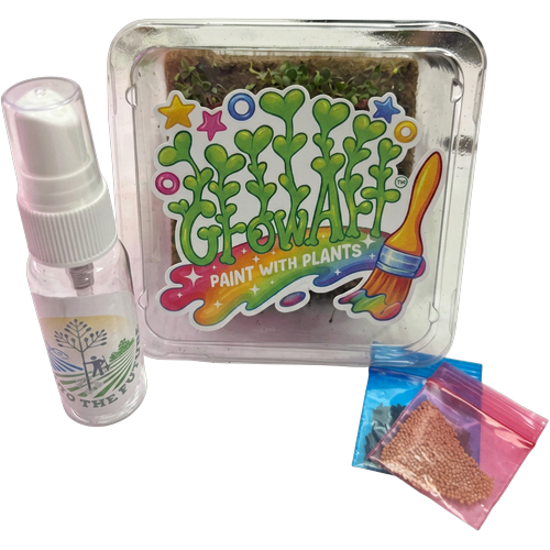 GrowArt™ Grow-Your-Own Art Kit: COMPACT Classroom Bundle (24)