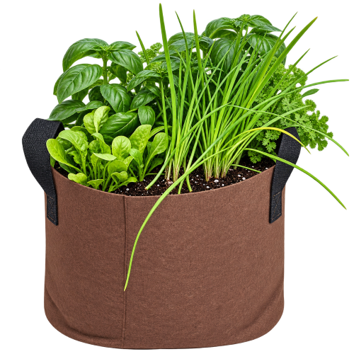 Grow a self contained Pesto garden with Farming the Future in a fabric grow bag planter which holds a mixed garden of green plants, including basil, garlic chive, arugula, and kale