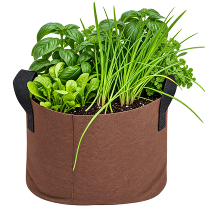 Grow a self contained Pesto garden with Farming the Future in a fabric grow bag planter which holds a mixed garden of green plants, including basil, garlic chive, arugula, and kale